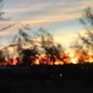 Meet your Posher, Sherrie